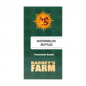 Barney's Farm Watermelon Zkittlez Seeds 3 Stk.