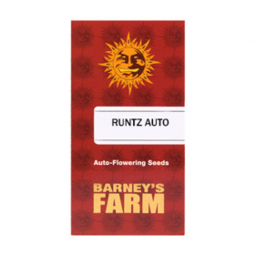 Barney's Farm Runtz Auto Seeds 3 Stk.