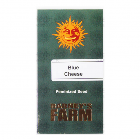 Barney's Farm Blue Cheese Seeds 3 Stk.