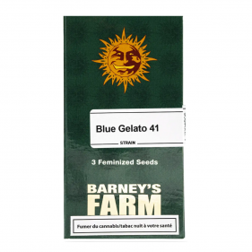 Barney's Farm Blue Gelato 41 Seeds 3 Stk.
