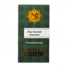 Barney's Farm Blue Sunset Sherbert Seeds 3 Stk.