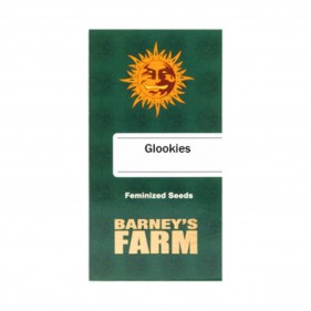 Barney's Farm Glookies Seeds 3 Stk.