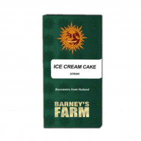 Barney's Farm Ice Cream Cake Seeds 3 Stk.