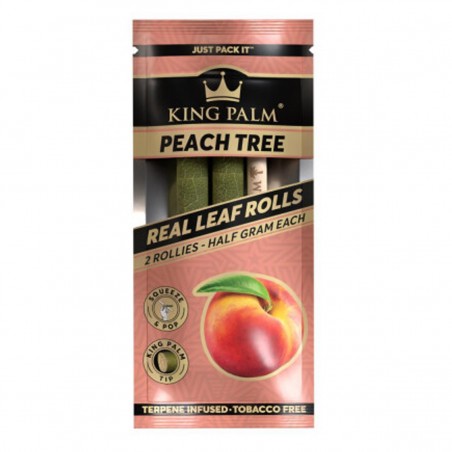 King Palm Rollies PEACH TREE 2 Stk.