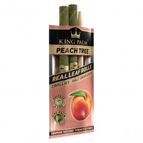 King Palm Rollies PEACH TREE 2 Stk.