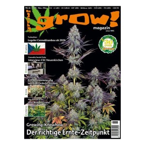 Ausgabe Nr.6/25 - Legalisierung in Tschechien, Low Budget Grow