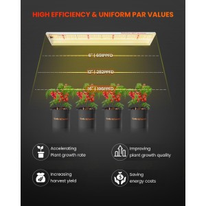 Spider Farmer 33W LED Grow Light SF300 - Online Bestellen