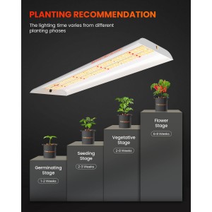 Spider Farmer 33W LED Grow Light SF300 - Online Bestellen