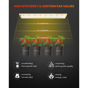Spider Farmer 74W LED Grow Light SF600 - Online Bestellen