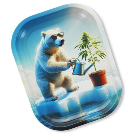 BEUZ Arcitc Grower Rolling Tray Klein Eisbär - Online Bestellen