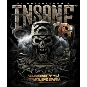 Barney's Farm Insane OG Cannabis Samen 3 Stk.