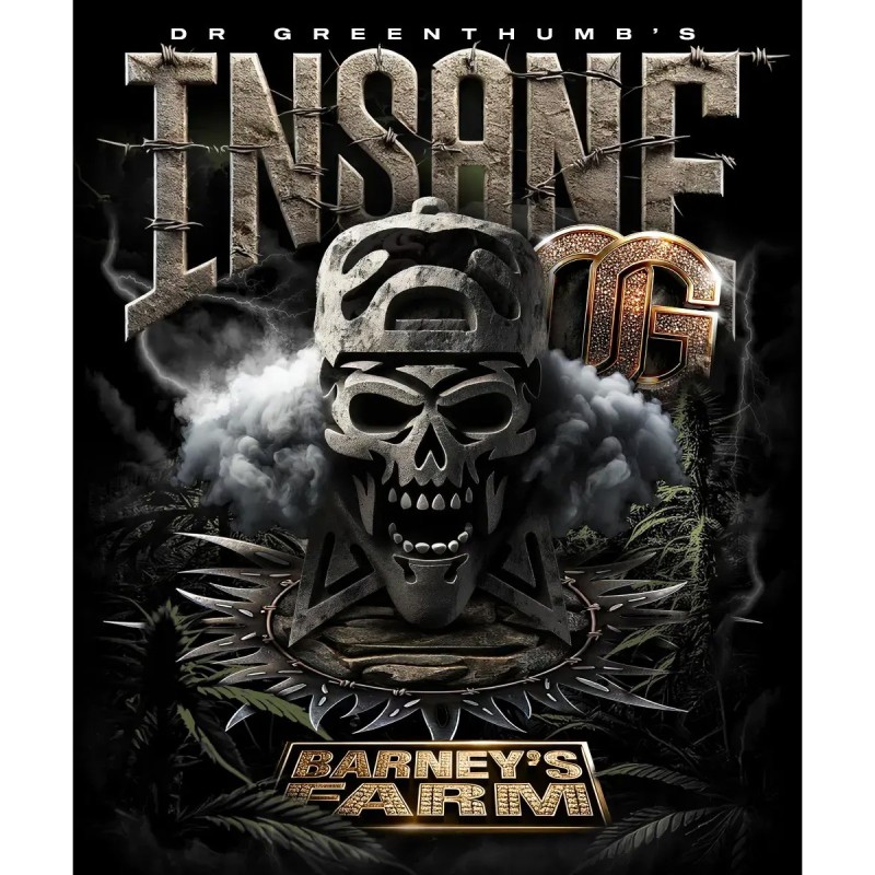 Barney's Farm Insane OG Cannabis Samen 3 Stk.