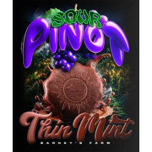 Barney's Farm Thin Mint x Sour Pinot Auto Cannabis Samen