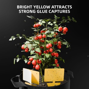 Spider Farmer 9-in-1 Werkzeugsatz Indoor Grow Tools