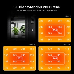 Spider Farmer Grow Regal mit Grow Lights für vier Pflanzen