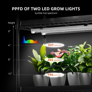 Spider Farmer Grow Regal mit Grow Lights für acht Pflanzen