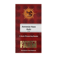 Cannabis-Samen - Online Kaufen - Deutschlandweiter Versand